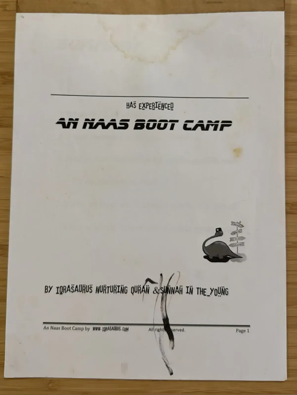 The cover of the An Naas Boot Camp workbook, with our early dinosaur-and-signpost logo