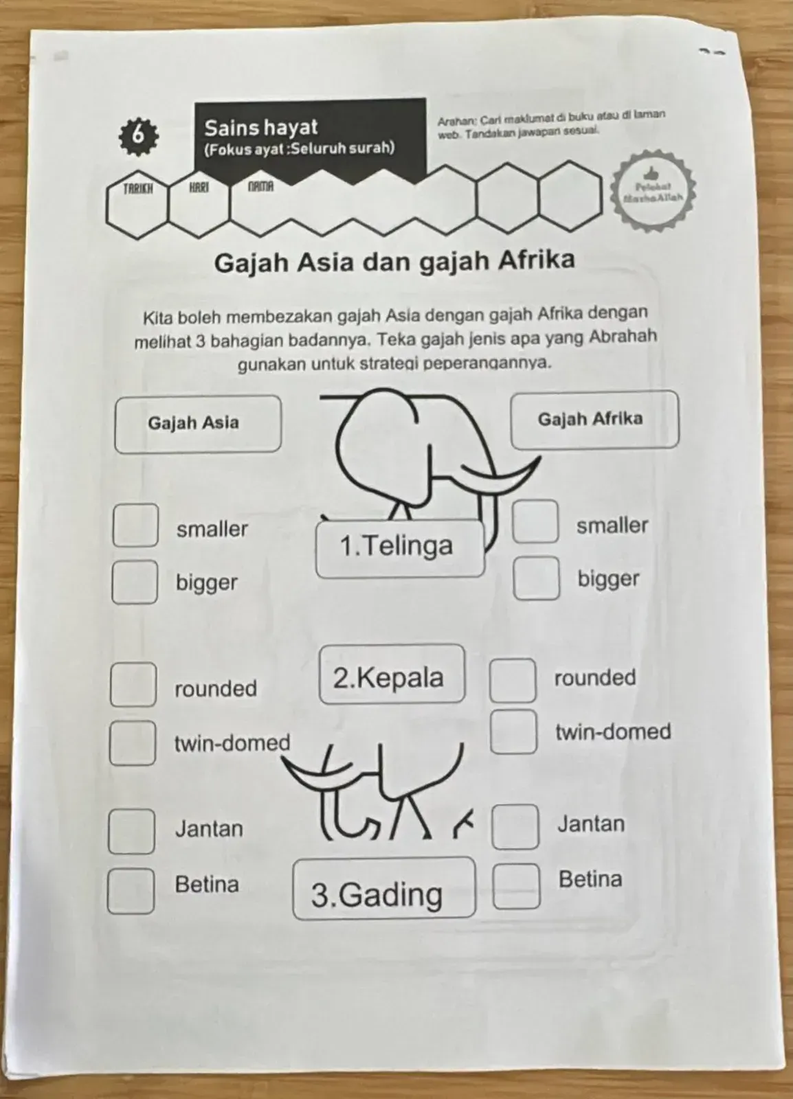 A draft science page comparing an Asian elephant with an African elephant